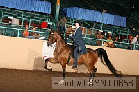 08yn-00658 proof