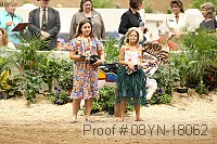 08yn-18062 proof