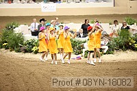 08yn-18082 proof