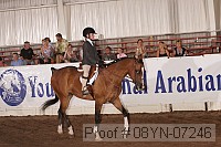08yn-07246 proof