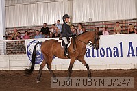 08yn-07247 proof
