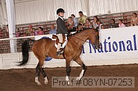 08yn-07253 proof