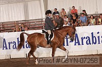 08yn-07258 proof