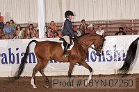 08yn-07260 proof