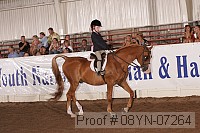 08yn-07264 proof