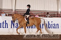 08yn-06465 proof