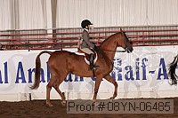 08yn-06485 proof