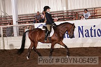 08yn-06495 proof