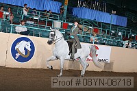 08yn-08718 proof