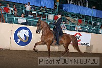 08yn-08720 proof