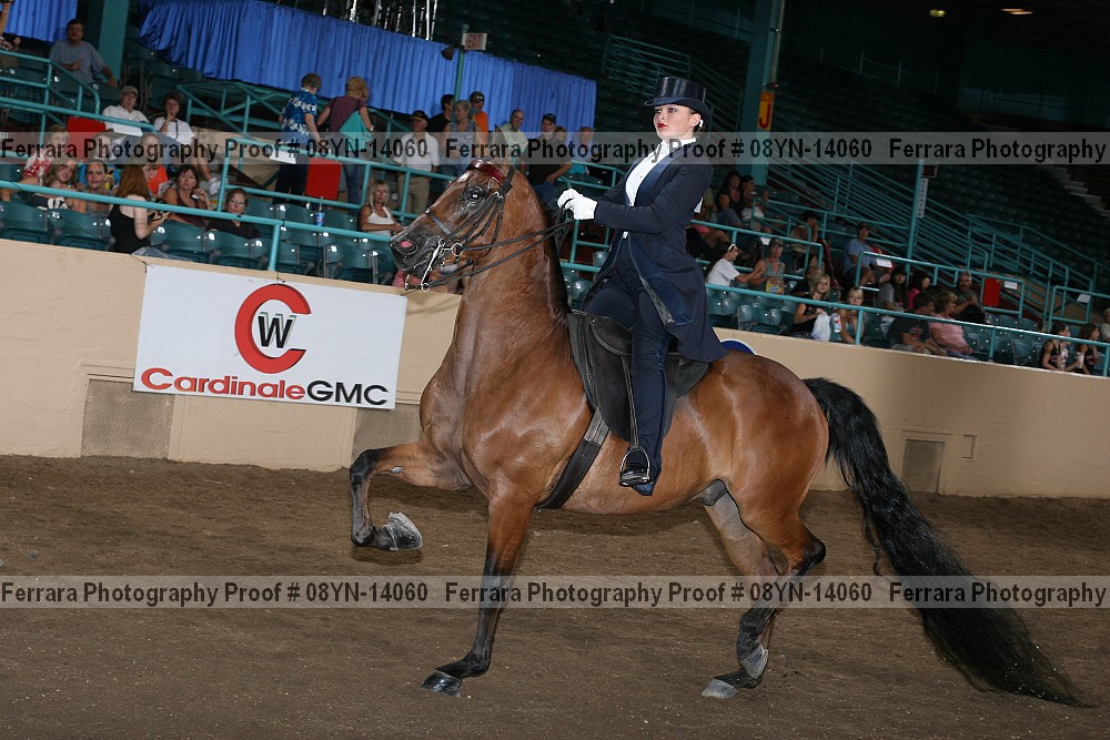 Proof 08yn-14060