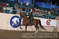 08yn-14062 proof