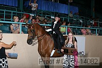 08yn-14082 proof
