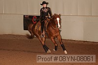 08yn-08061 proof