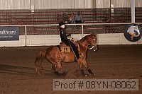 08yn-08062 proof