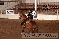 08yn-08063 proof