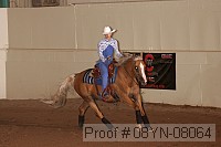 08yn-08064 proof