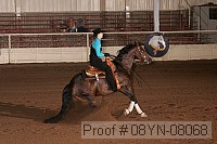 08yn-08068 proof