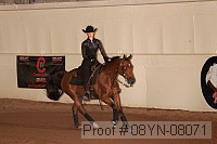 08yn-08071 proof
