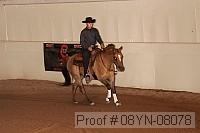 08yn-08078 proof