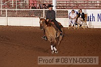 08yn-08081 proof