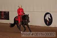 08yn-08082 proof