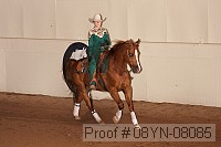08yn-08085 proof