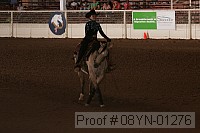 08yn-01276 proof