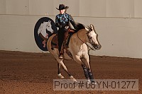 08yn-01277 proof