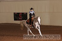 08yn-01283 proof