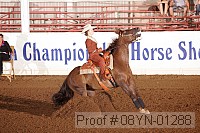 08yn-01288 proof