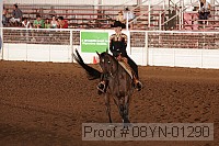 08yn-01290 proof