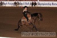 08yn-01293 proof