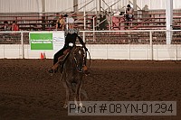 08yn-01294 proof