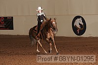 08yn-01295 proof