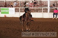 08yn-01296 proof