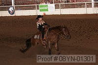 08yn-01301 proof