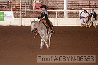 08yn-06653 proof
