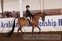 08yn-06544 proof