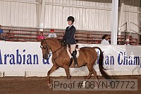 08yn-07772 proof