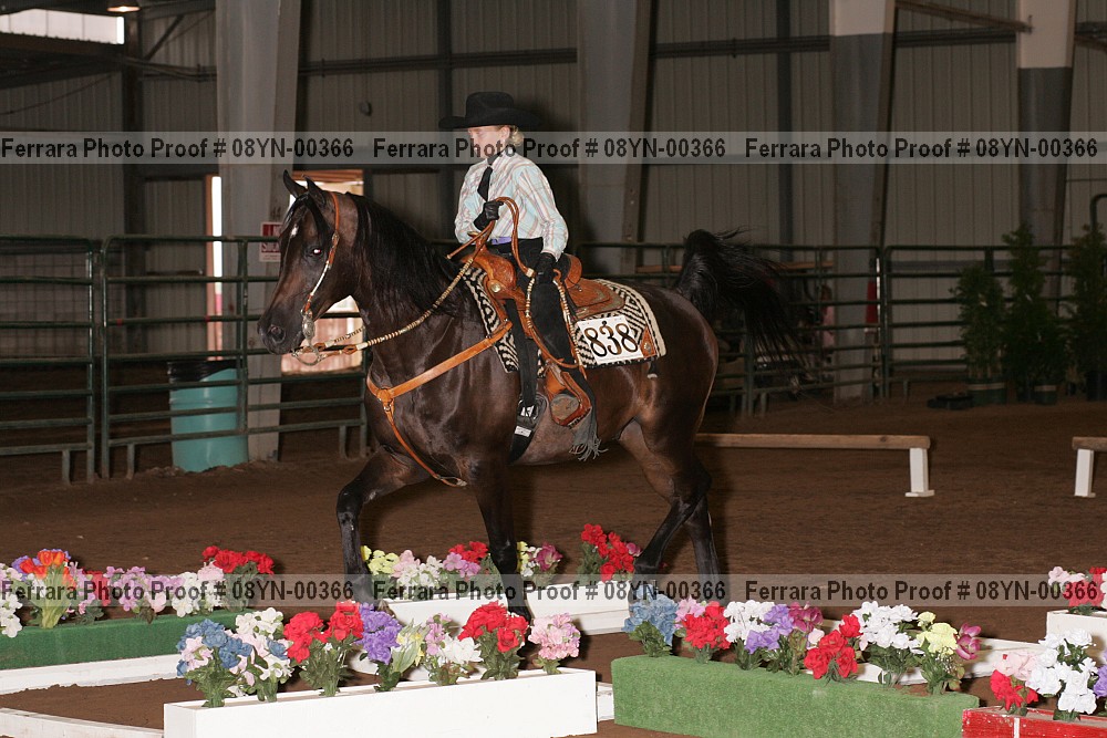 Proof 08yn-00366