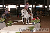 08yn-00373 proof