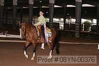 08yn-00376 proof