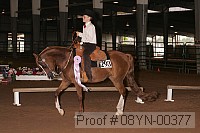 08yn-00377 proof