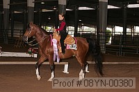08yn-00380 proof