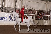08yn-02172 proof