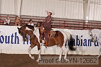 08yn-12662 proof