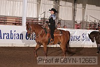 08yn-12663 proof