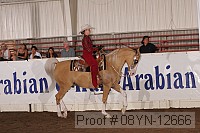 08yn-12666 proof