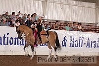 08yn-12691 proof